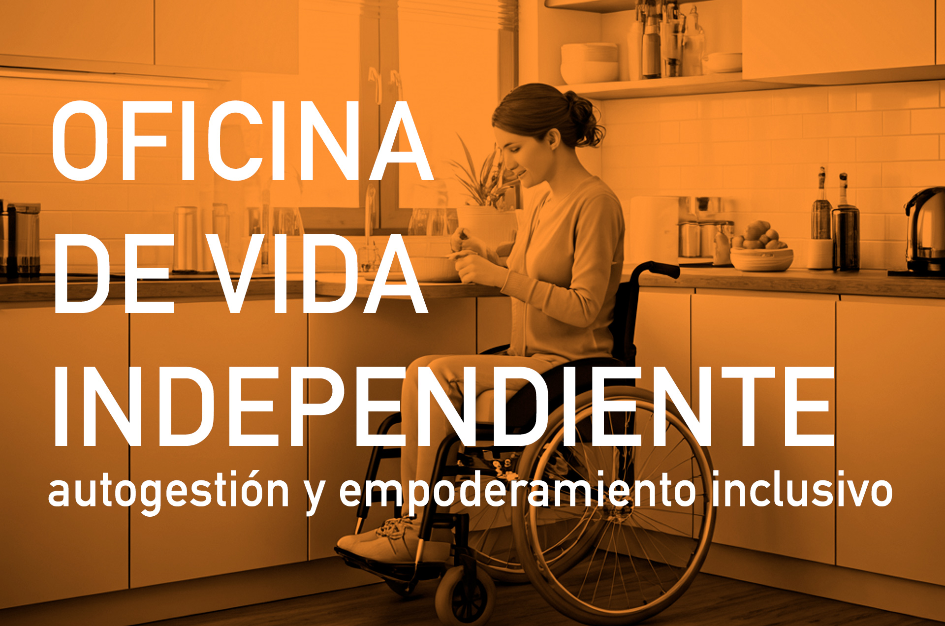 OFICINA DE VIDA INDEPENDIENTE